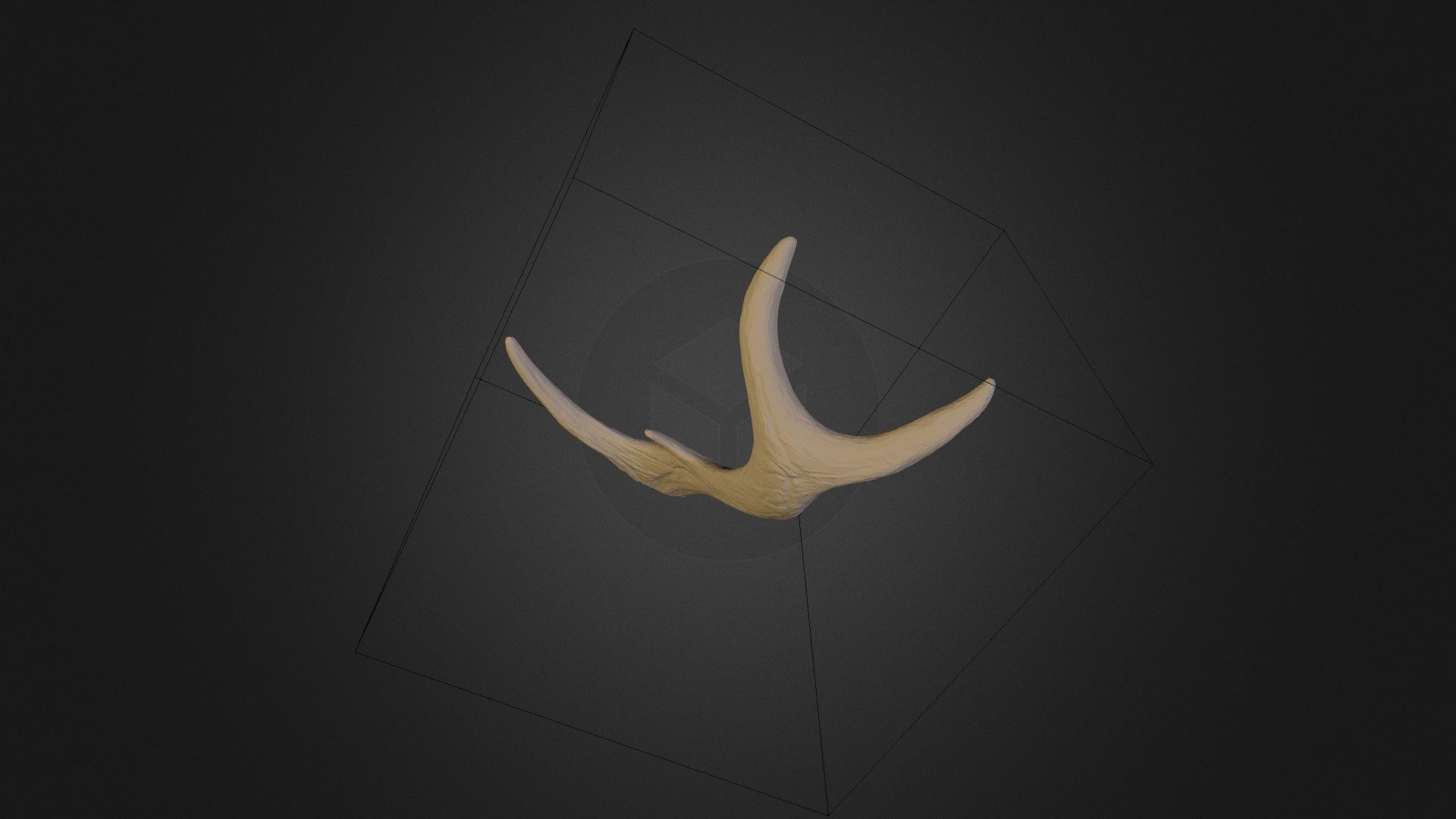 test_vrml9_xl