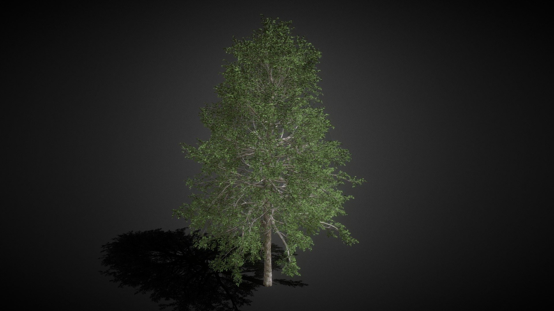 Big Tree 03 - Buy Royalty Free 3D model by Md Waziullah Apu (@ApuArt ...