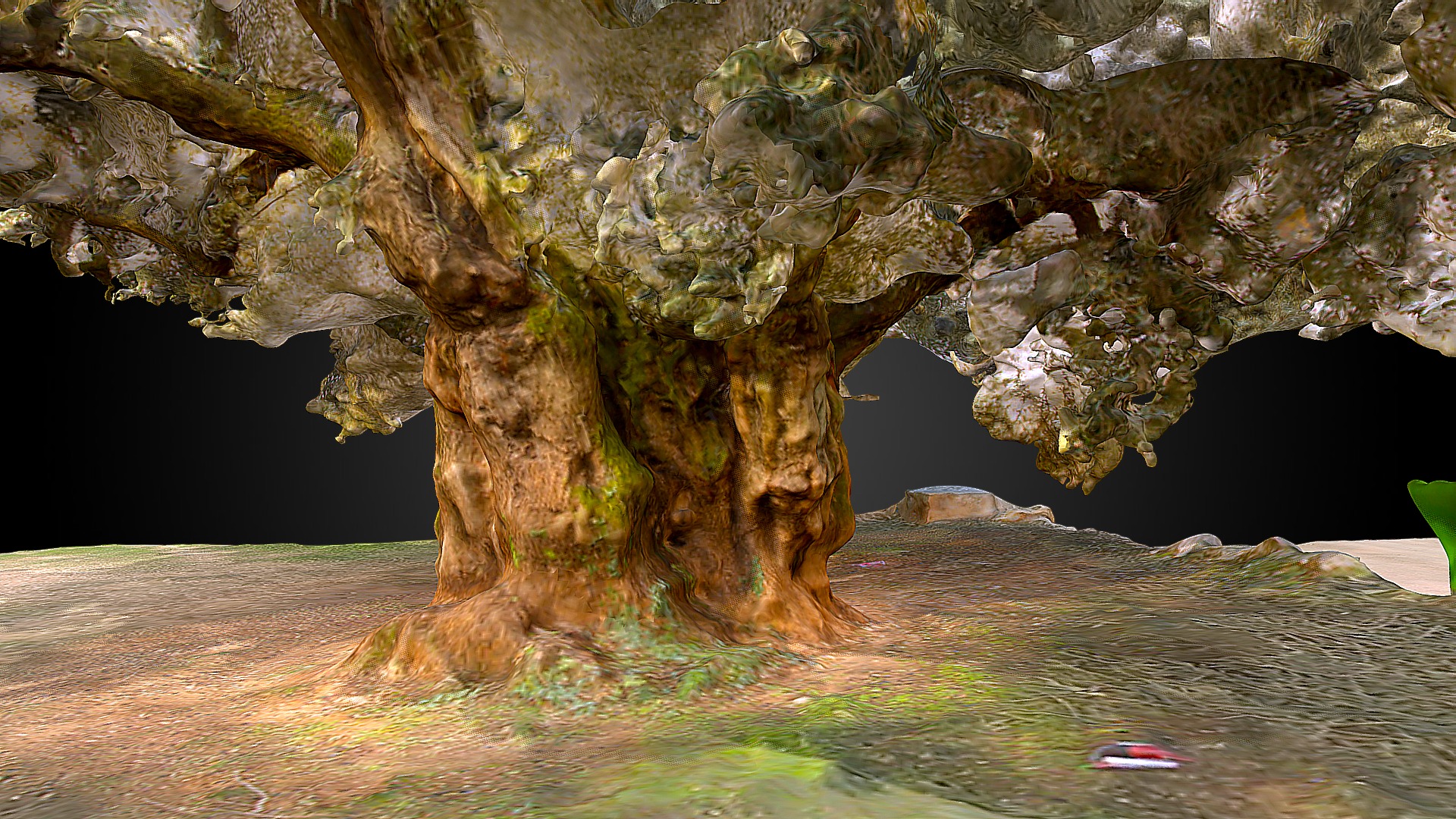 3D model Thousand-year-old olive (Olea europaea) – Godall - This is a 3D model of the Thousand-year-old olive (Olea europaea) - Godall. The 3D model is about a cave with a body of water in it.
