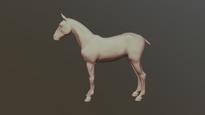 Yearling Horse 3D Model
