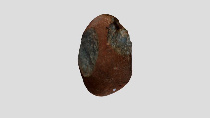 Nódulo probado 3D Model
