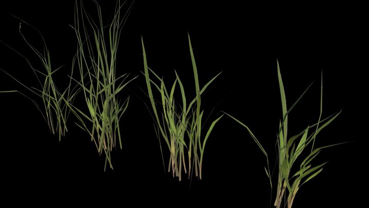 Game ready grass 3D Model