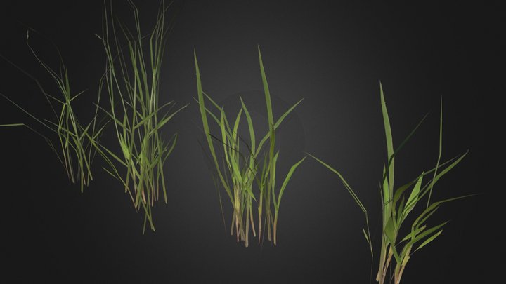 Game ready grass 3D Model