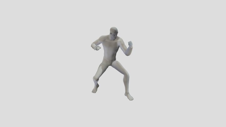 Fighter Idle 3D Model