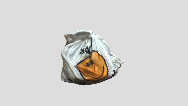 Takeout Bag 3D Model