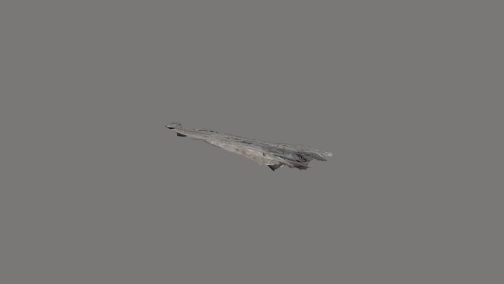 KRG Eel 1 3D Model