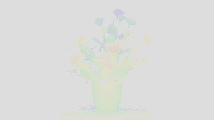 STURDeCAM13_ToF_Flower_pot 3D Model