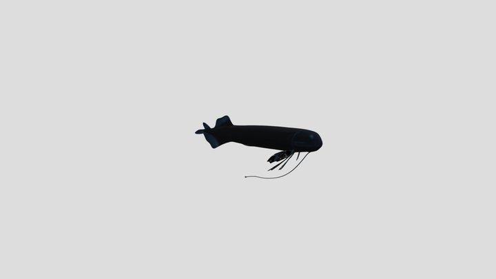 Black Dragonfish