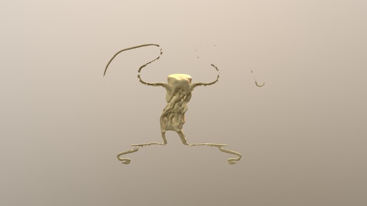 My model 3D Model