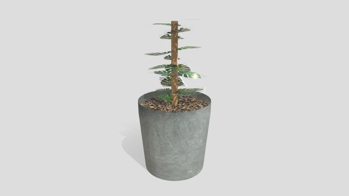 plant dv 3D Model