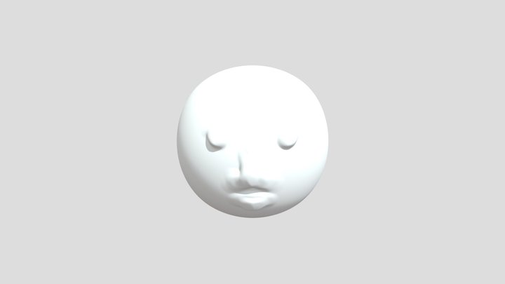 My model 3D Model