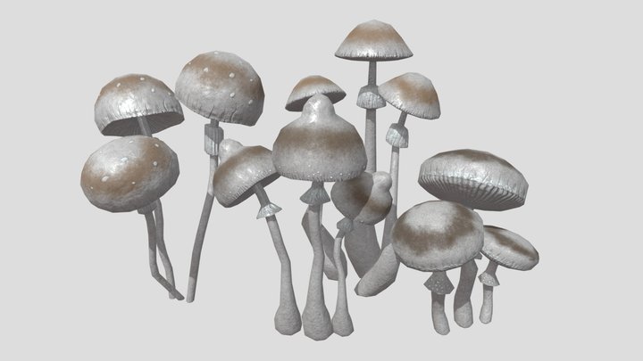 TrollTroll mushrooms 3D Model