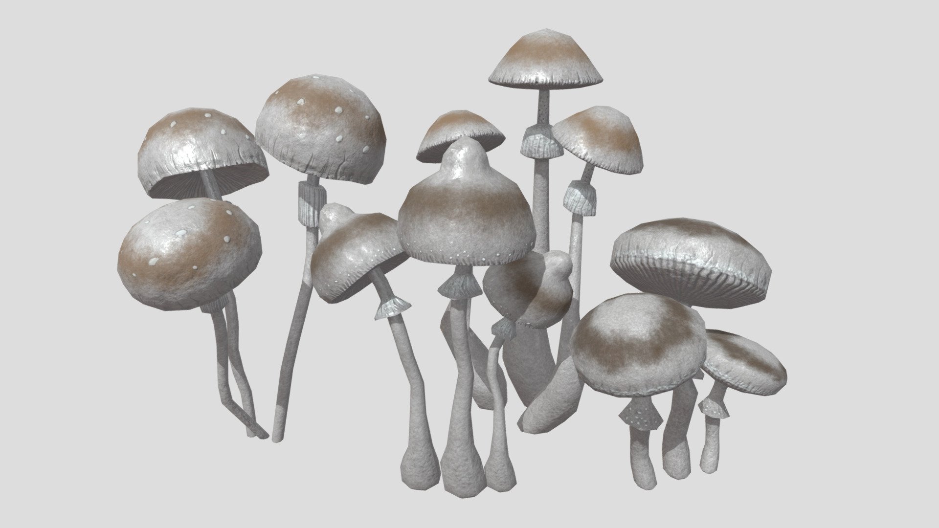TrollTroll mushrooms