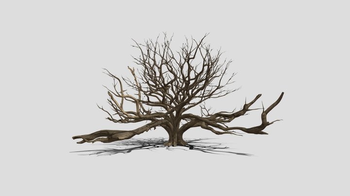 Big tree Gnarled Sentinel 3D Model Free – Kostenloses 3D-Modell STL
