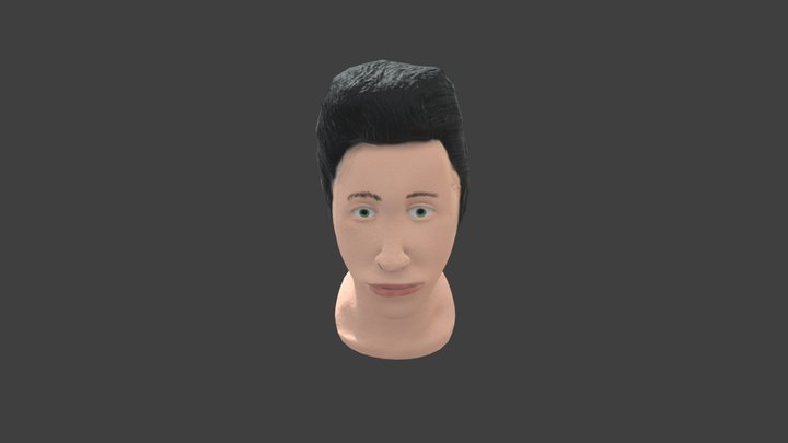 David Henrii 3D Model