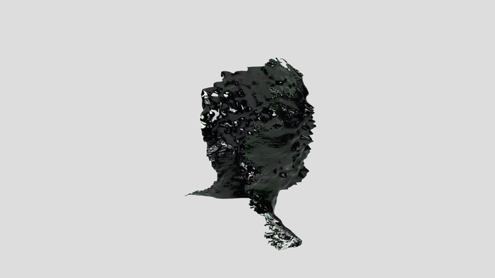 Jake Leone : Model 4 3D Model