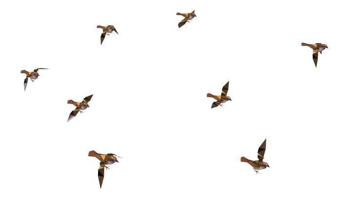 animated flock sparrow birds lowpoly art style 3D Model