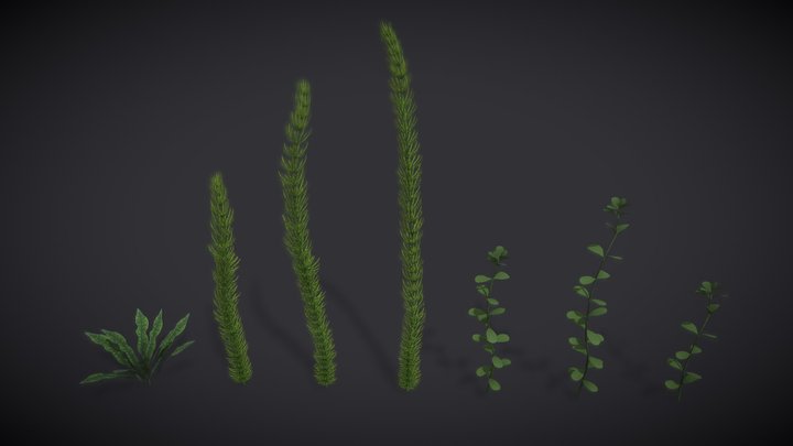 Aquatic Plant Pack 3D Model