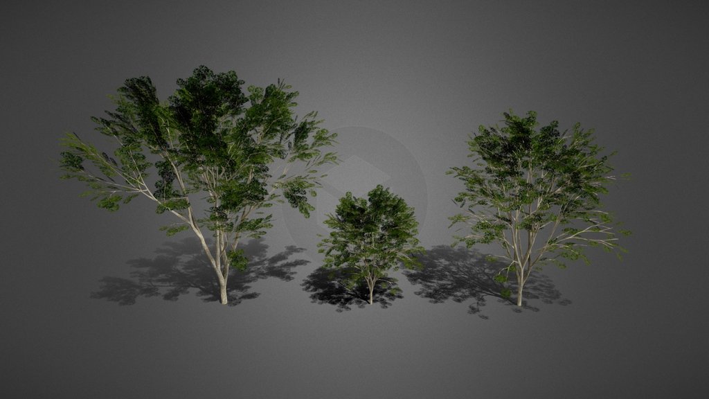 Small Trees