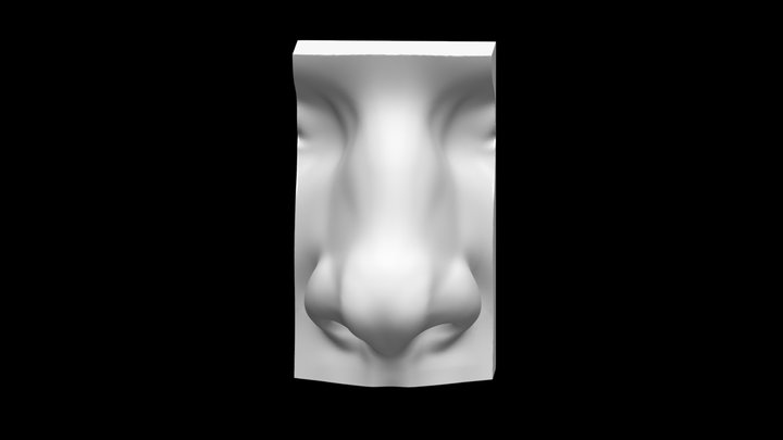 Nose Sculpt Assymetrical Scale Update 3D Model