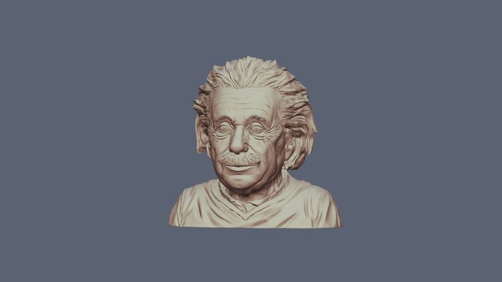 Einstein 3D Model
