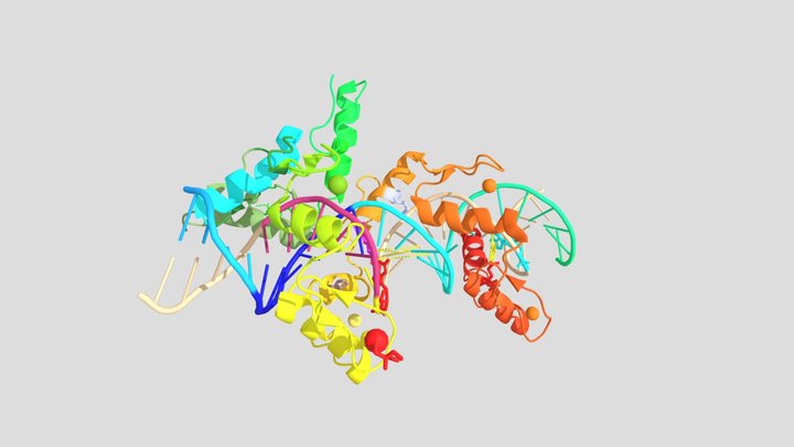 The Structural Dynamics of ZFP568 3D Model
