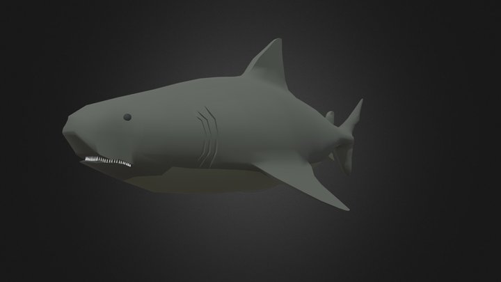 Shark 3D Model