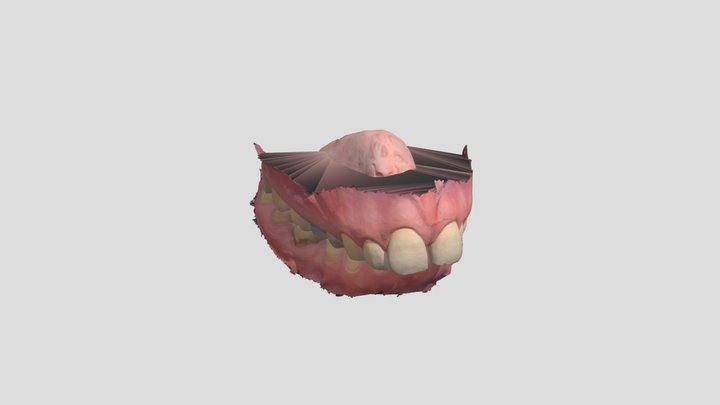 K. T. kezdeti 3D Model
