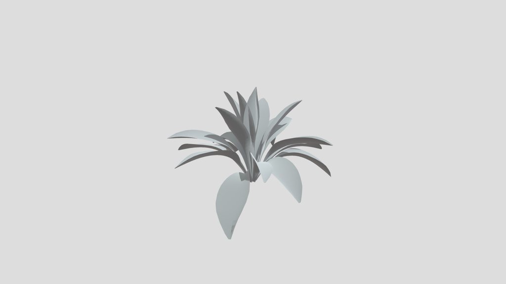 Haran Cast Iron Plant Med Var