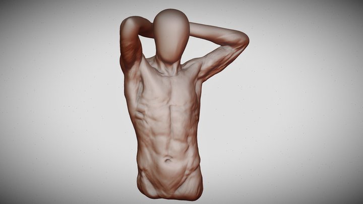 Man Torso Figure Sculpture 3D Model