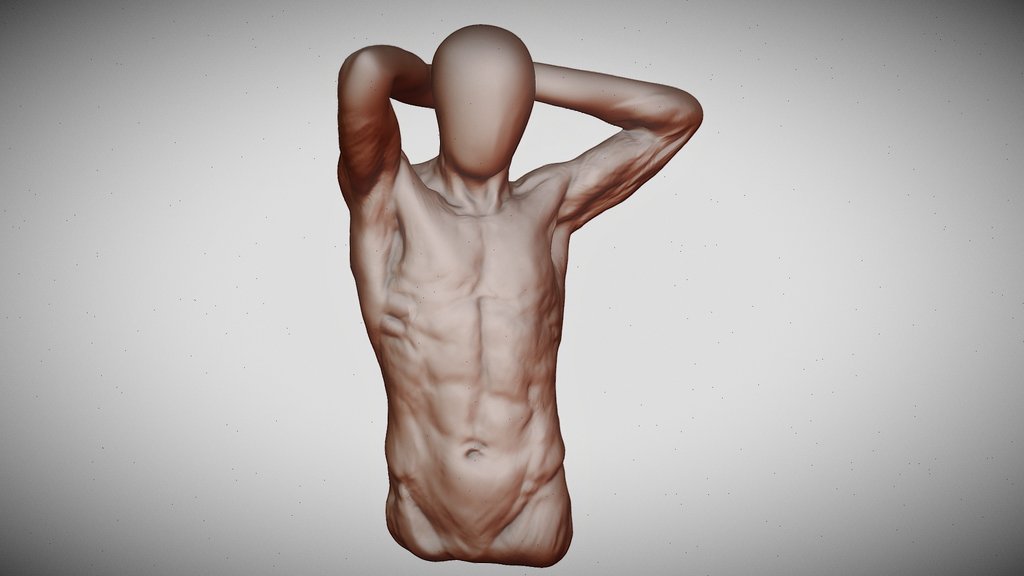 人体结构 A 3D model collection by kaomianjin Sketchfab
