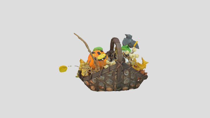 flow basket 3D Model
