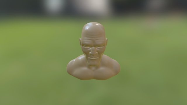 Busto 3D Model