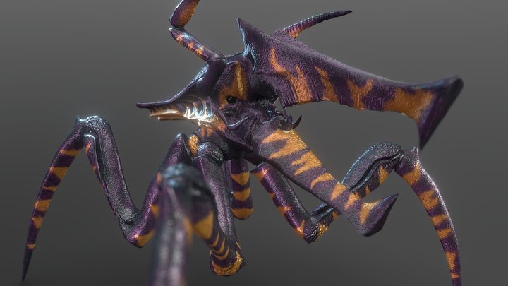 ZWarrior 3D Model