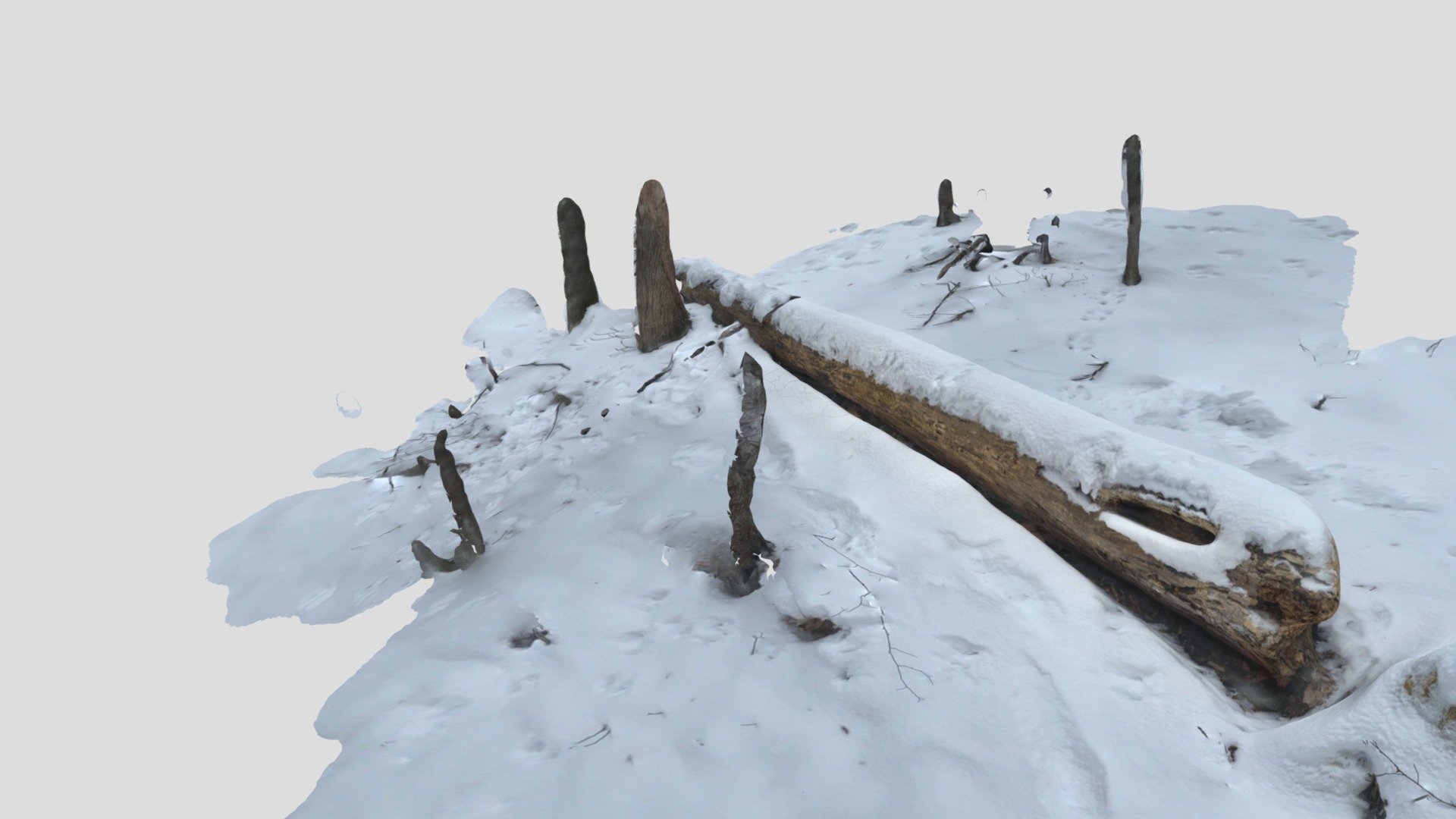 Scan #16 : It's Log, Log, Log — Sketchfab embed 3D viewer