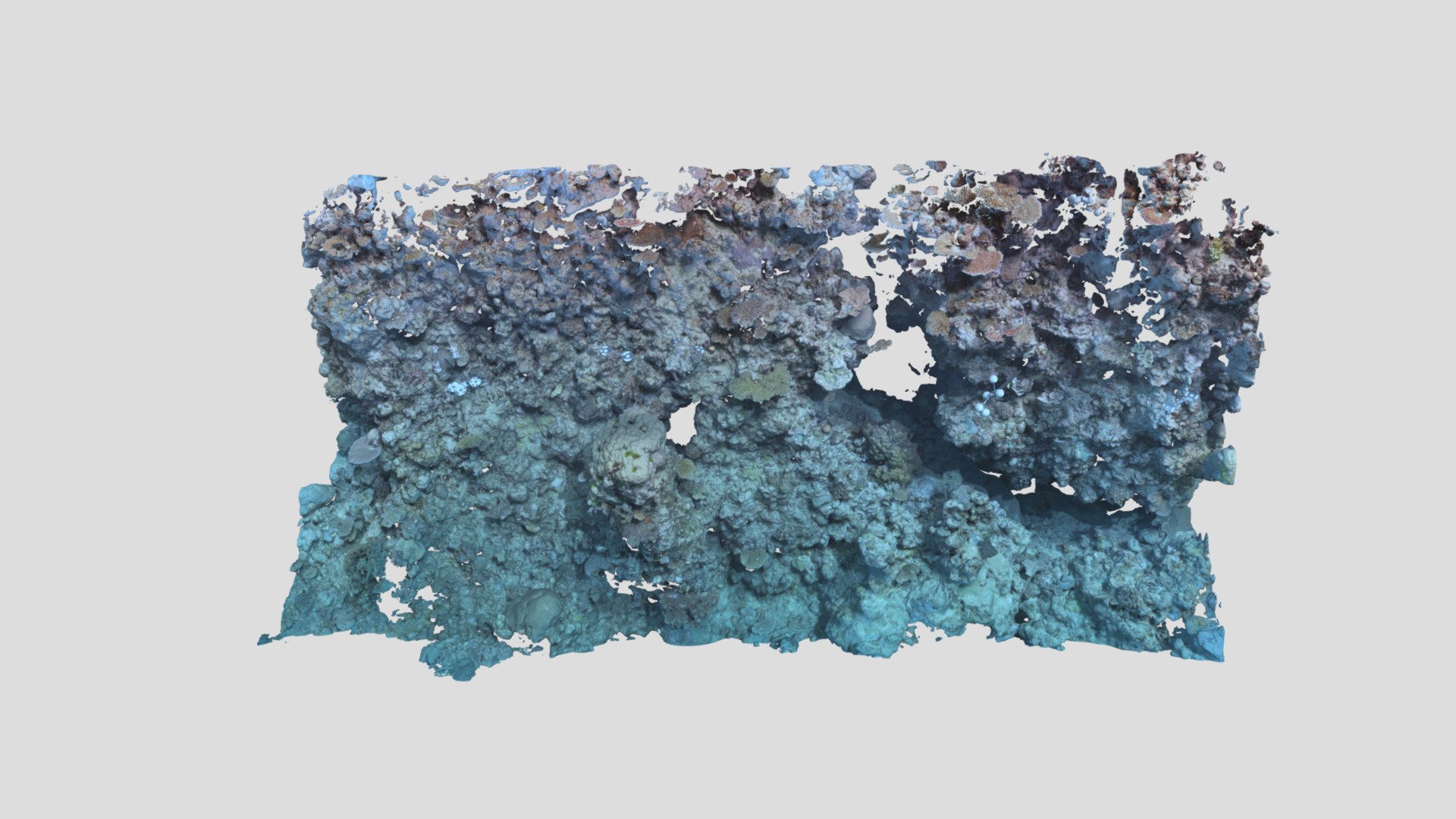 Davies_BA2S_P4_202101 - 3D model by EcoRRAP (@AIMSEcoRRAP) [1860552 ...