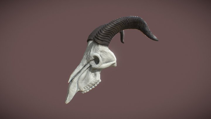 21-22 Goat Skull 3D Model