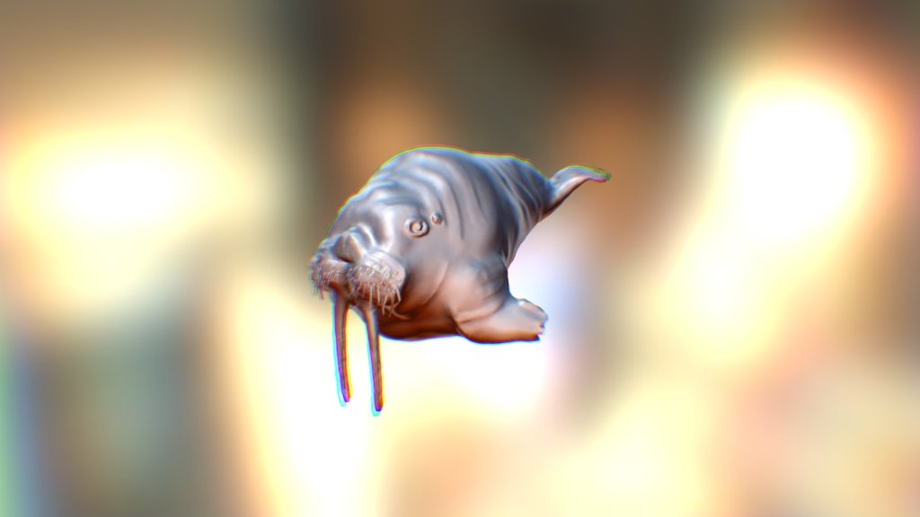 Psychedelic Walrus