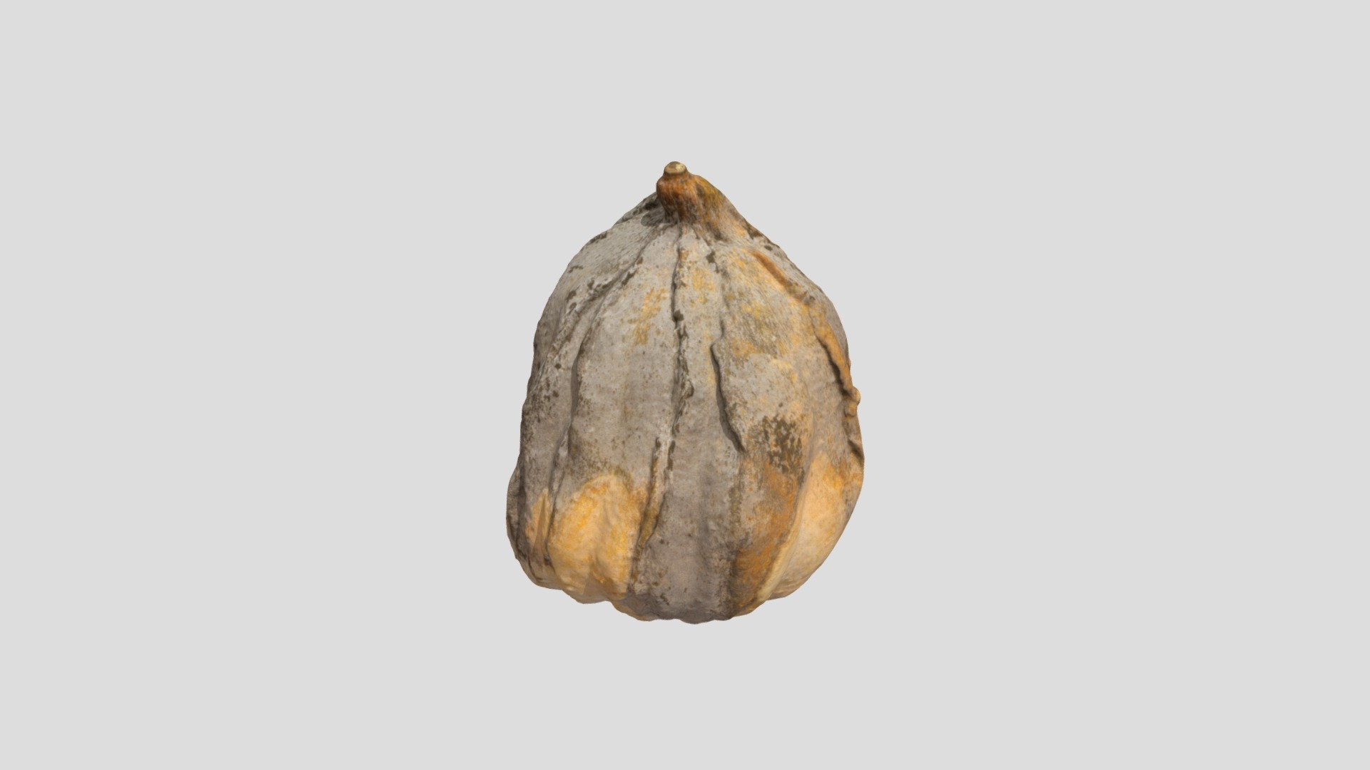 Moldy Gourd