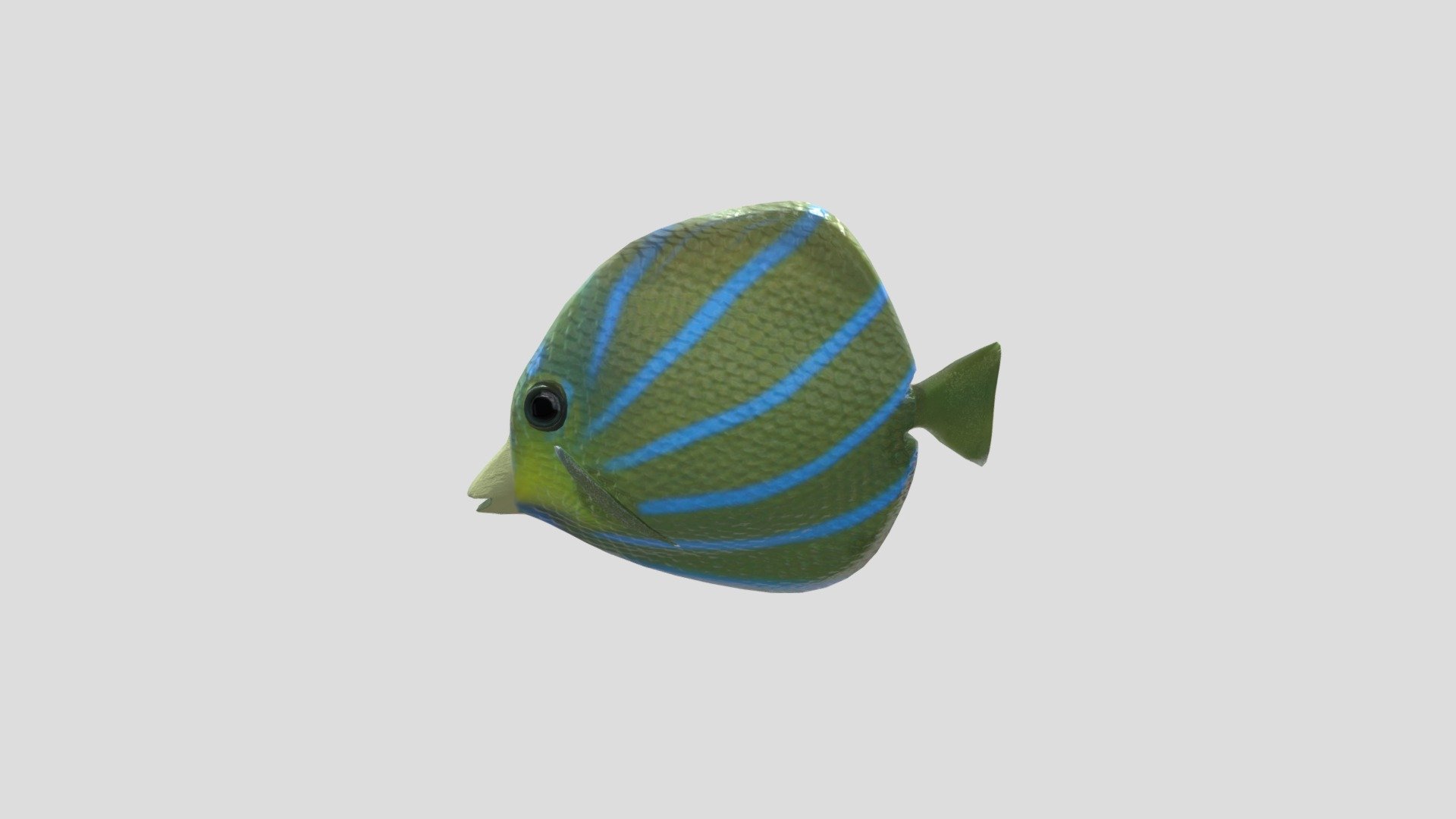 FISH!