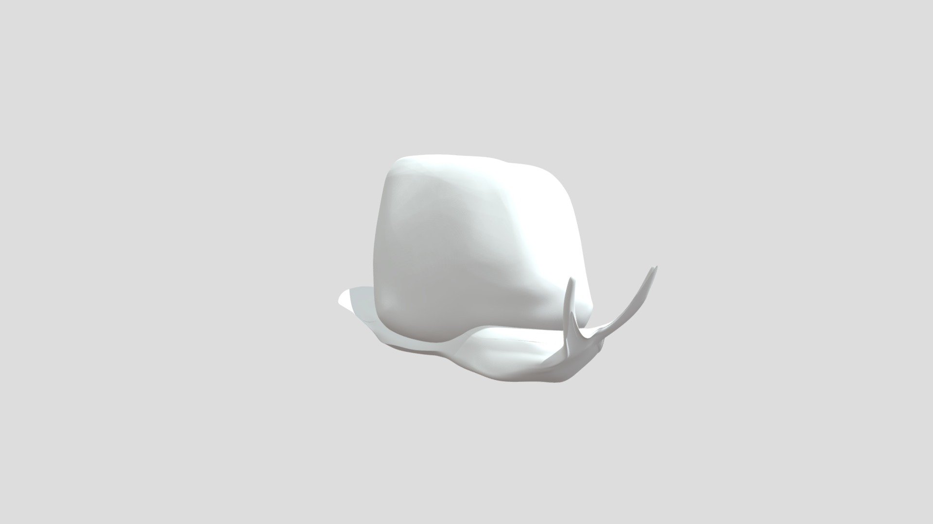 Snail Boi