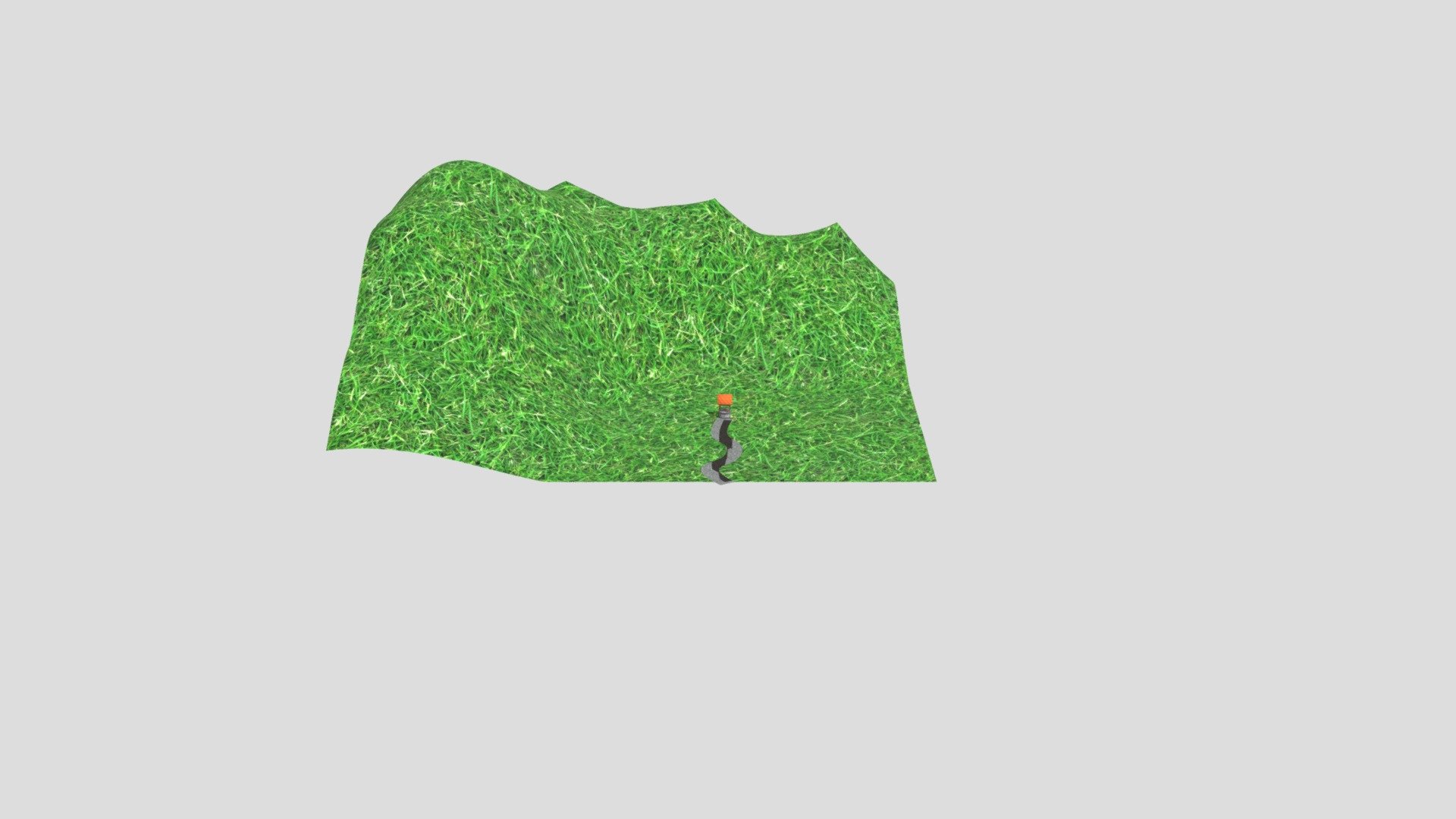 MushroomWell