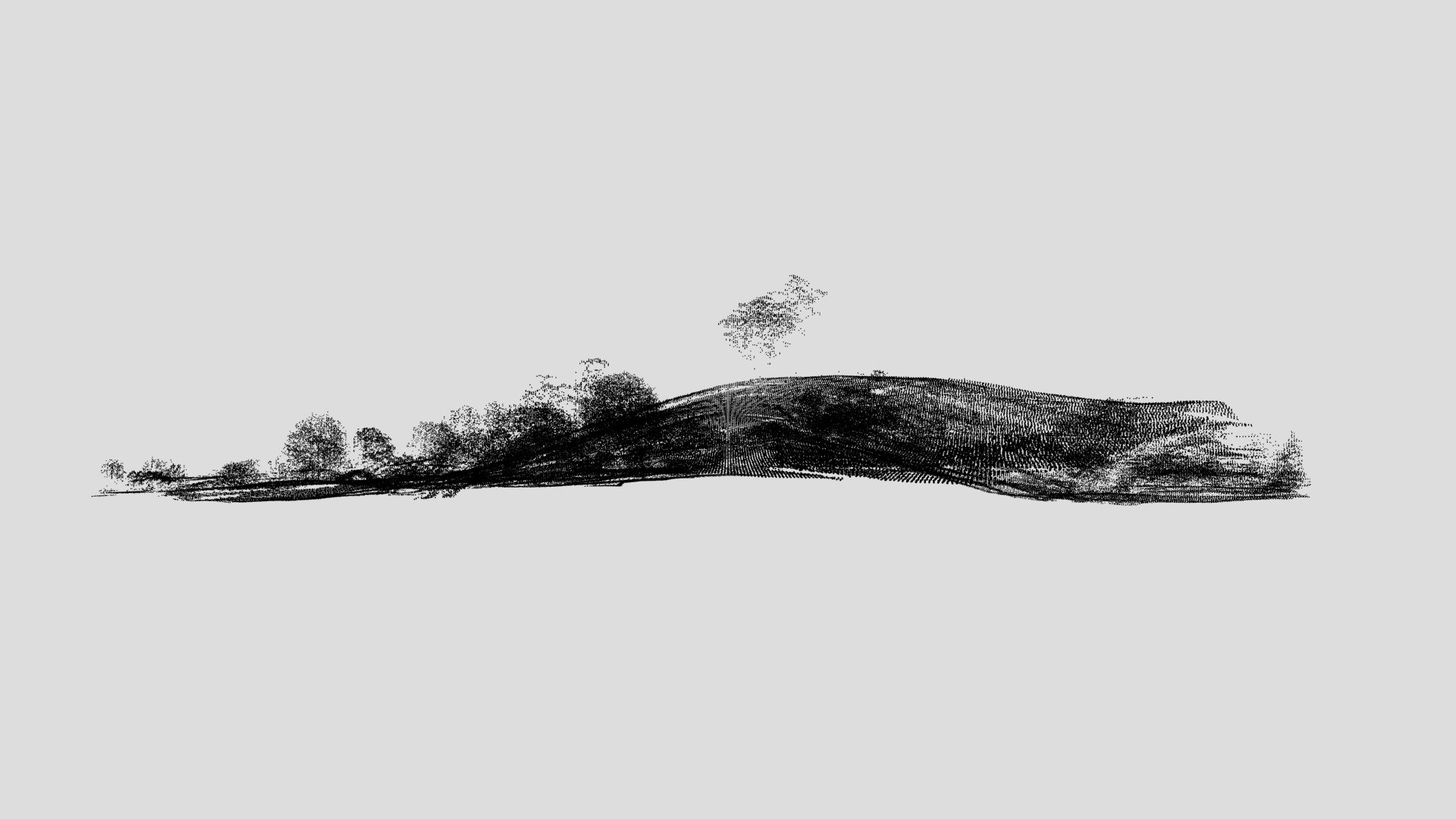 Paeroa Chicken Tree