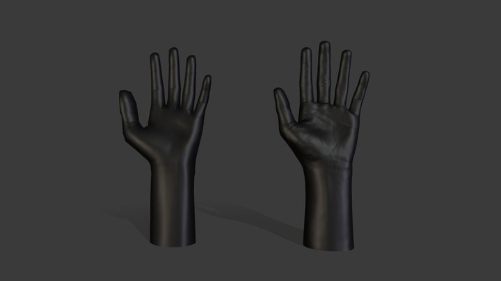 Hand Low and High Poly 3D Model