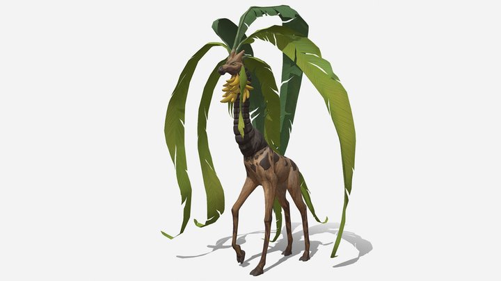Giraffe Musa 3D Model
