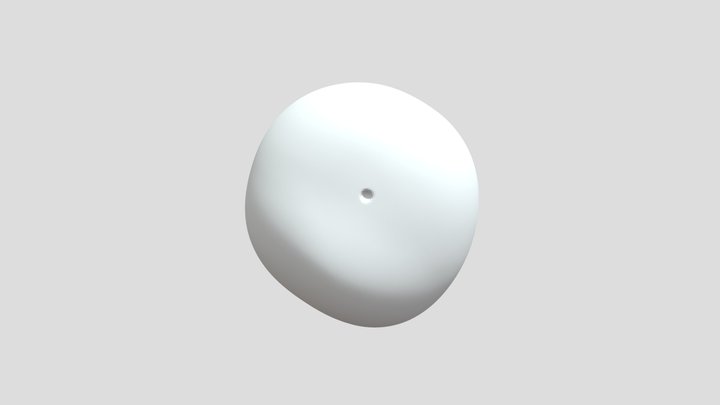belly model 3D Model
