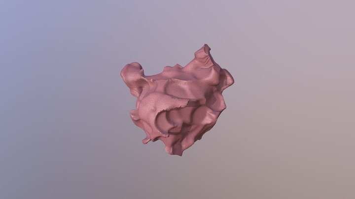 dark matter 3D Model