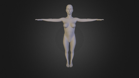 Female, subject 1 3D Model