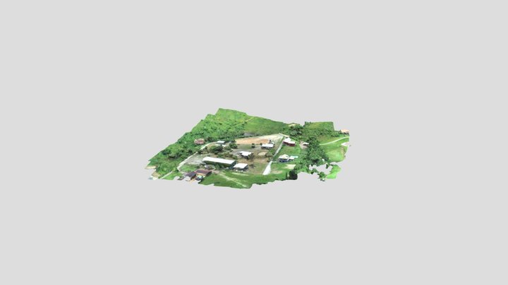 Wellington 3D Model