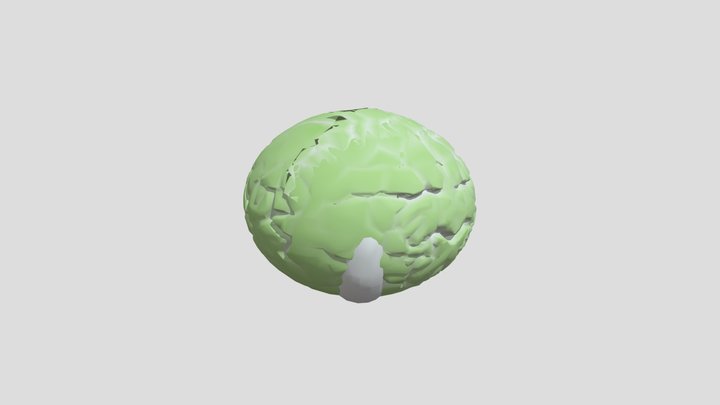Poly Cabbage 3D Model